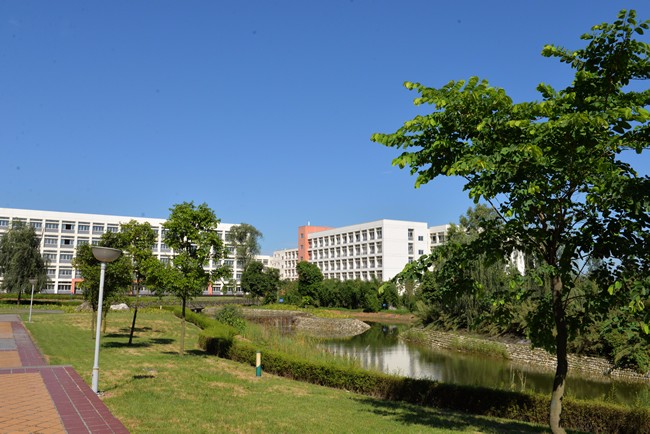 城市学校