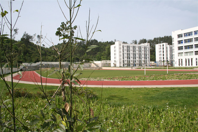 四川省蒲江县职业中学足球场