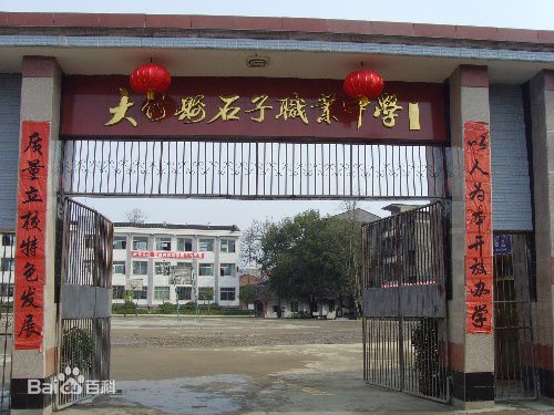 大竹县石子中学图片、照片