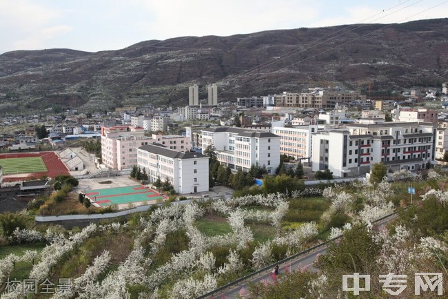 四川省汉源县职业高级中学校园全景