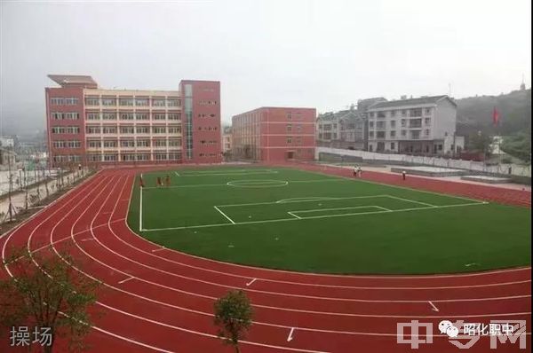 广元市昭化区职业高级中学操场