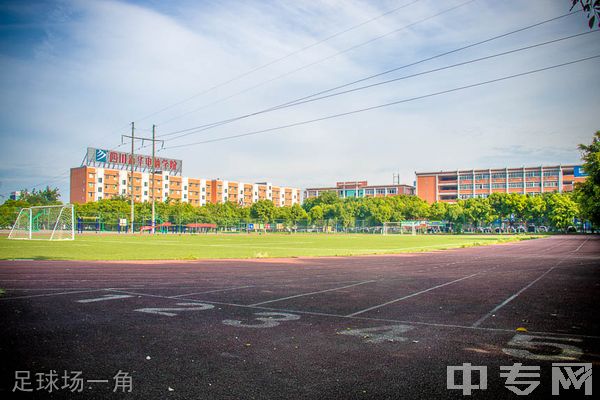 四川新华电脑学院(成都新华技工学校)足球场一角